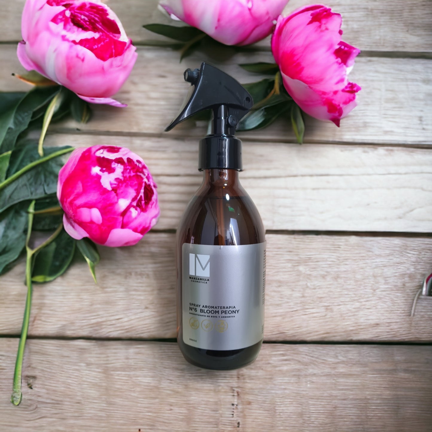 PACK x 2 Home Spray
